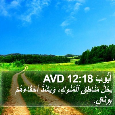 أَيُّوبَ 12:18 AVD Bible Verse Image