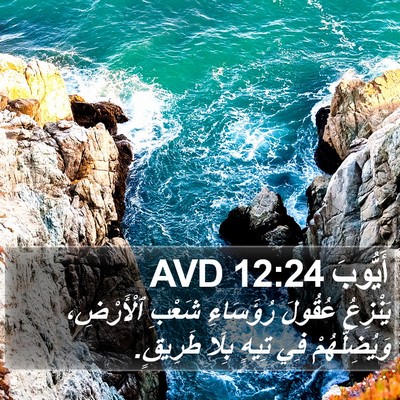 أَيُّوبَ 12:24 AVD Bible Verse Image