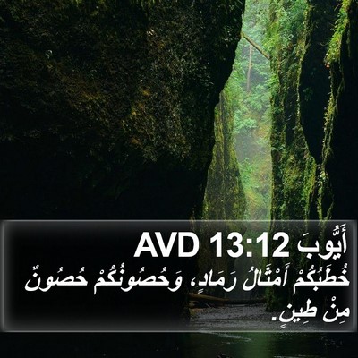 أَيُّوبَ 13:12 AVD Bible Verse Image