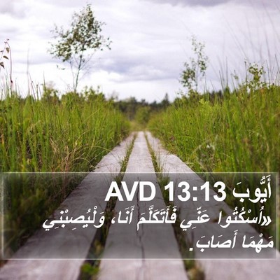 أَيُّوبَ 13:13 AVD Bible Verse Image