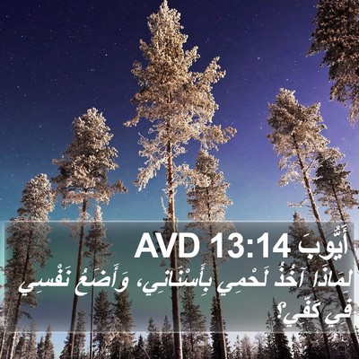 أَيُّوبَ 13:14 AVD Bible Verse Image