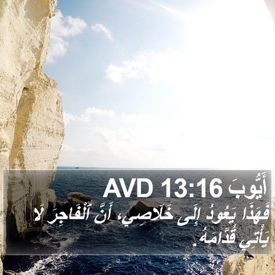 أَيُّوبَ 13:16 AVD Bible Verse Image