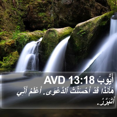 أَيُّوبَ 13:18 AVD Bible Verse Image