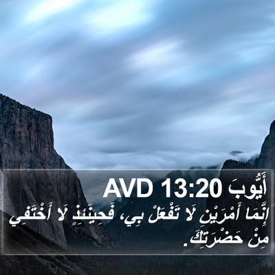 أَيُّوبَ 13:20 AVD Bible Verse Image