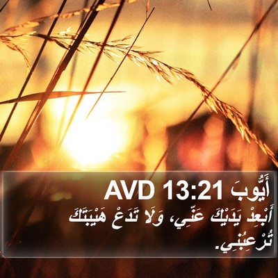 أَيُّوبَ 13:21 AVD Bible Verse Image