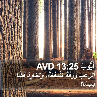 أَيُّوبَ 13:25 AVD Bible Verse Image