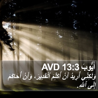 أَيُّوبَ 13:3 AVD Bible Verse Image