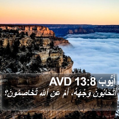أَيُّوبَ 13:8 AVD Bible Verse Image