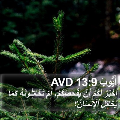 أَيُّوبَ 13:9 AVD Bible Verse Image