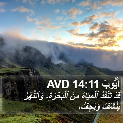 أَيُّوبَ 14:11 AVD Bible Verse Image