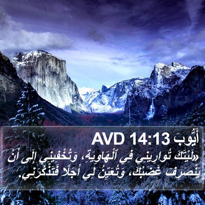 أَيُّوبَ 14:13 AVD Bible Verse Image