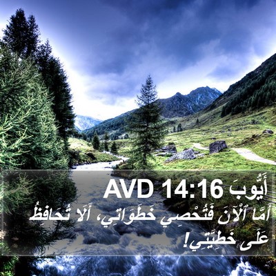أَيُّوبَ 14:16 AVD Bible Verse Image