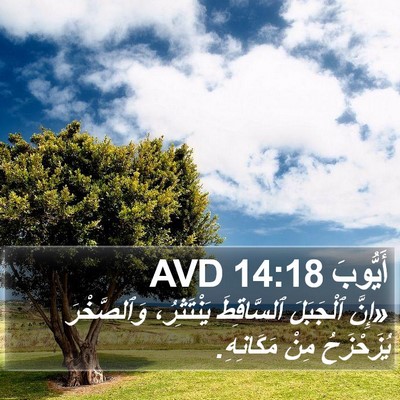 أَيُّوبَ 14:18 AVD Bible Verse Image