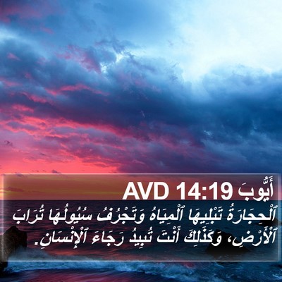 أَيُّوبَ 14:19 AVD Bible Verse Image