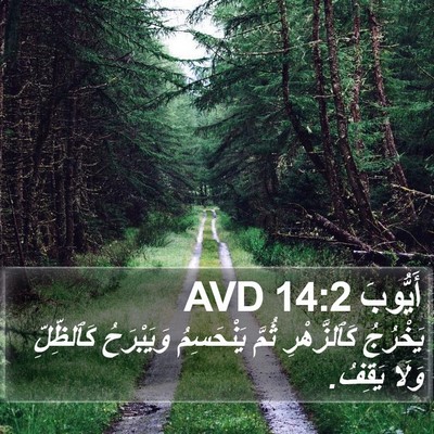 أَيُّوبَ 14:2 AVD Bible Verse Image