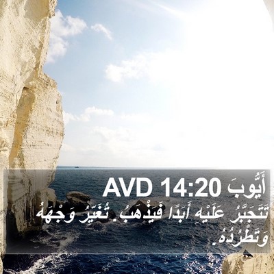 أَيُّوبَ 14:20 AVD Bible Verse Image