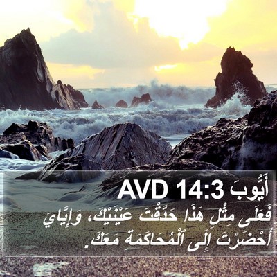 أَيُّوبَ 14:3 AVD Bible Verse Image