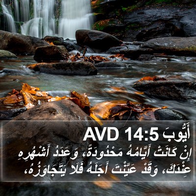 أَيُّوبَ 14:5 AVD Bible Verse Image