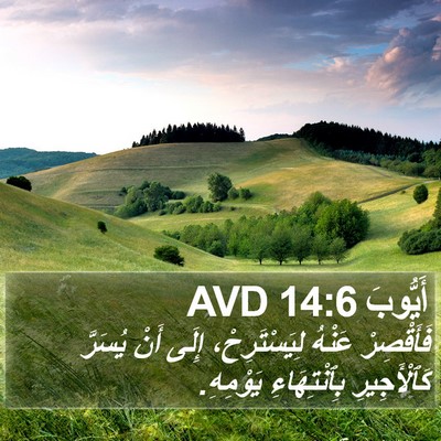 أَيُّوبَ 14:6 AVD Bible Verse Image