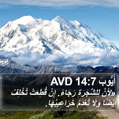 أَيُّوبَ 14:7 AVD Bible Verse Image