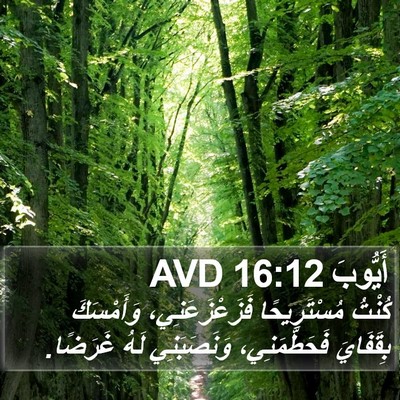 أَيُّوبَ 16:12 AVD Bible Verse Image