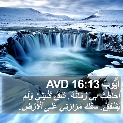 أَيُّوبَ 16:13 AVD Bible Verse Image
