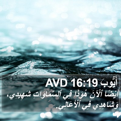أَيُّوبَ 16:19 AVD Bible Verse Image
