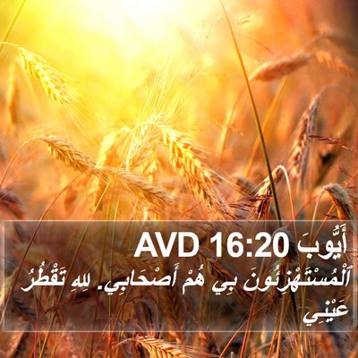 أَيُّوبَ 16:20 AVD Bible Verse Image