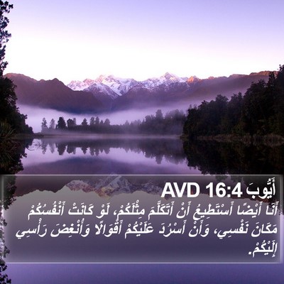 أَيُّوبَ 16:4 AVD Bible Verse Image