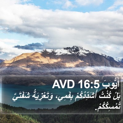 أَيُّوبَ 16:5 AVD Bible Verse Image