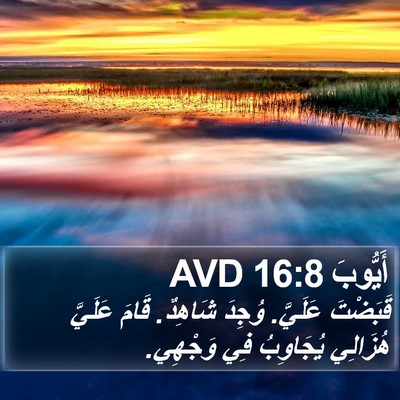 أَيُّوبَ 16:8 AVD Bible Verse Image
