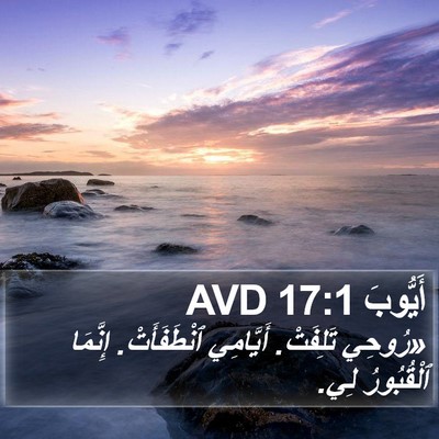 أَيُّوبَ 17:1 AVD Bible Verse Image