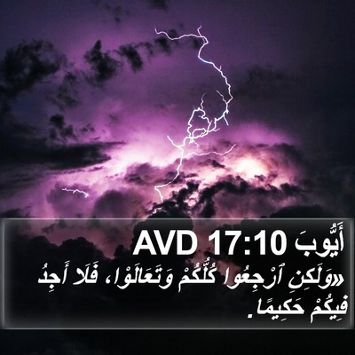 أَيُّوبَ 17:10 AVD Bible Verse Image