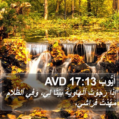 أَيُّوبَ 17:13 AVD Bible Verse Image