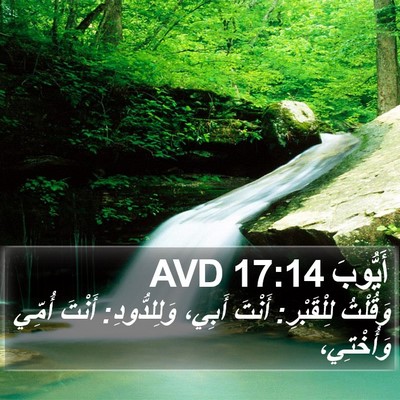 أَيُّوبَ 17:14 AVD Bible Verse Image