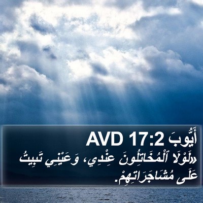 أَيُّوبَ 17:2 AVD Bible Verse Image