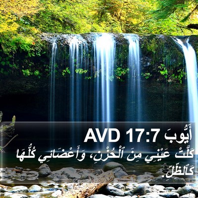 أَيُّوبَ 17:7 AVD Bible Verse Image