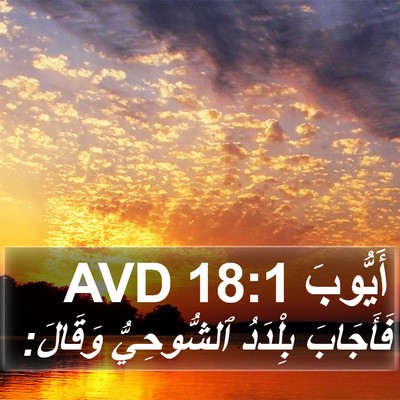أَيُّوبَ 18:1 AVD Bible Verse Image