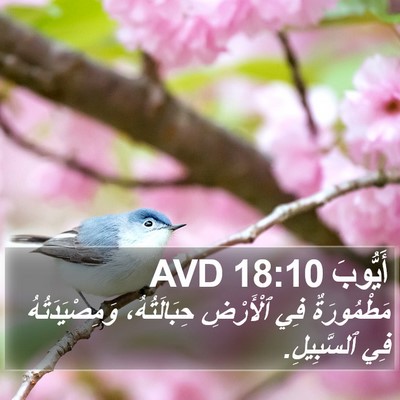 أَيُّوبَ 18:10 AVD Bible Verse Image
