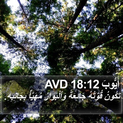 أَيُّوبَ 18:12 AVD Bible Verse Image