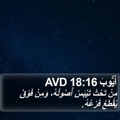 أَيُّوبَ 18:16 AVD Bible Verse Image