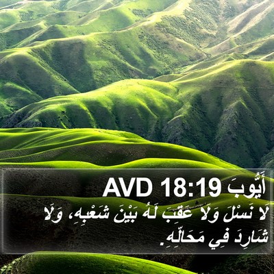 أَيُّوبَ 18:19 AVD Bible Verse Image