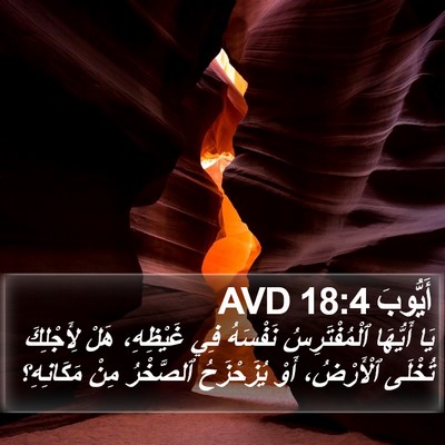أَيُّوبَ 18:4 AVD Bible Verse Image