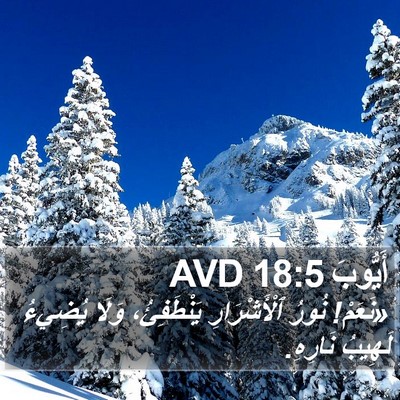 أَيُّوبَ 18:5 AVD Bible Verse Image