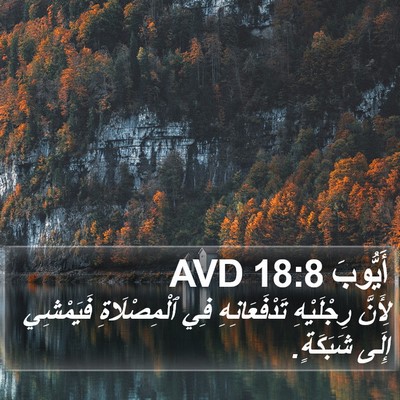أَيُّوبَ 18:8 AVD Bible Verse Image
