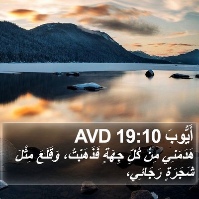 أَيُّوبَ 19:10 AVD Bible Verse Image