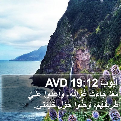 أَيُّوبَ 19:12 AVD Bible Verse Image