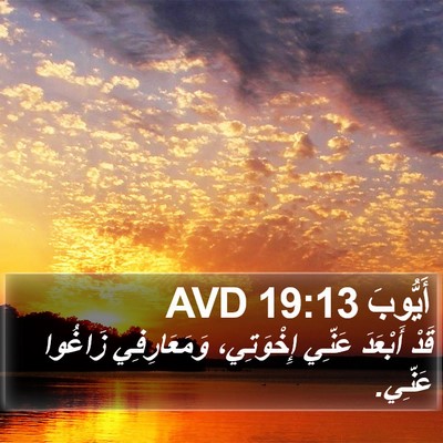 أَيُّوبَ 19:13 AVD Bible Verse Image