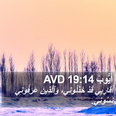 أَيُّوبَ 19:14 AVD Bible Verse Image
