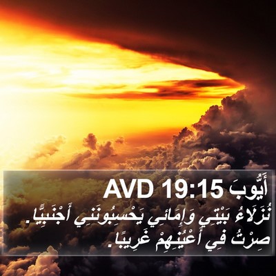 أَيُّوبَ 19:15 AVD Bible Verse Image